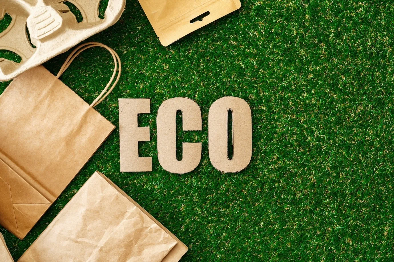 Driving the Sustainability Agenda: UAE's Vision and Efforts